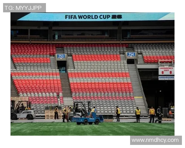 世界杯球票炒至天价黄牛猖獗球迷呼吁加强监管确保公平购票环境